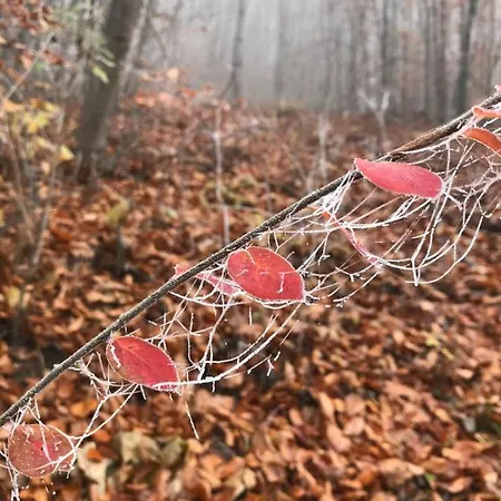 Διαμέρισμα Auszeit Am Kurpark # Balkon # Ruhige Lage # Gratis Parkplatz & Wlan # Naehe Weimar # Weimarer Land *