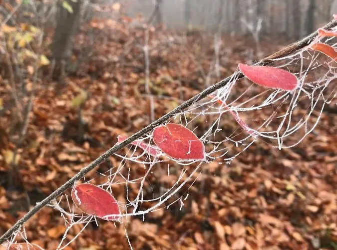 Διαμέρισμα Auszeit Am Kurpark - Auch Im Fruehling Toll! # Balkon # Ruhige Lage # Gratis Parkplatz & Wlan # Naehe Weimar # Weimarer Land *