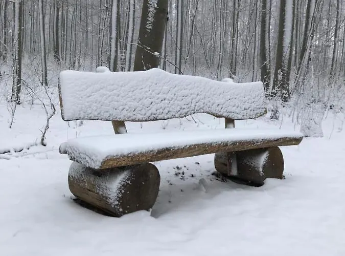 Auszeit Am Kurpark - Auch Im Fruehling Toll! # Balkon # Ruhige Lage # Gratis Parkplatz & Wlan # Naehe Weimar # Weimarer Land