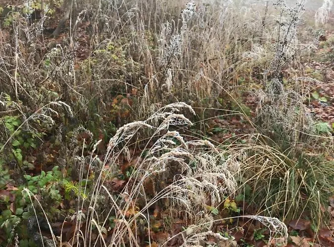 Auszeit Am Kurpark - Auch Im Fruehling Toll! # Balkon # Ruhige Lage # Gratis Parkplatz & Wlan # Naehe Weimar # Weimarer Land * Bad Berka