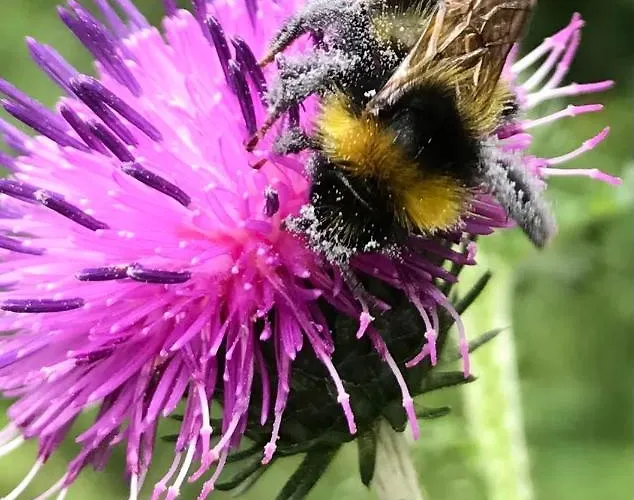 Auszeit Am Kurpark - Auch Im Fruehling Toll! # Balkon # Ruhige Lage # Gratis Parkplatz & Wlan # Naehe Weimar # Weimarer Land Bad Berka